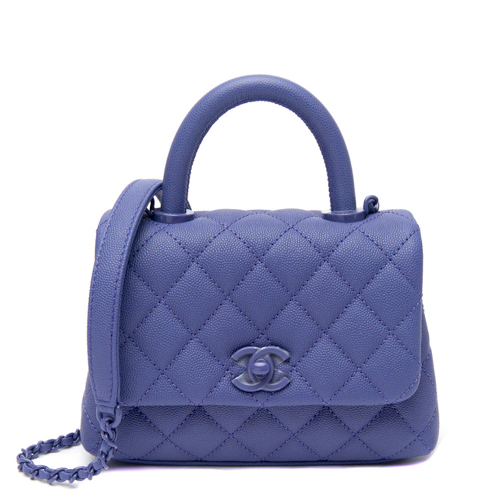 Chanel Coco Handle Bag With Elaphe Handle