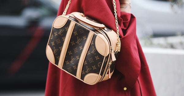 Louis Vuitton camera bag
