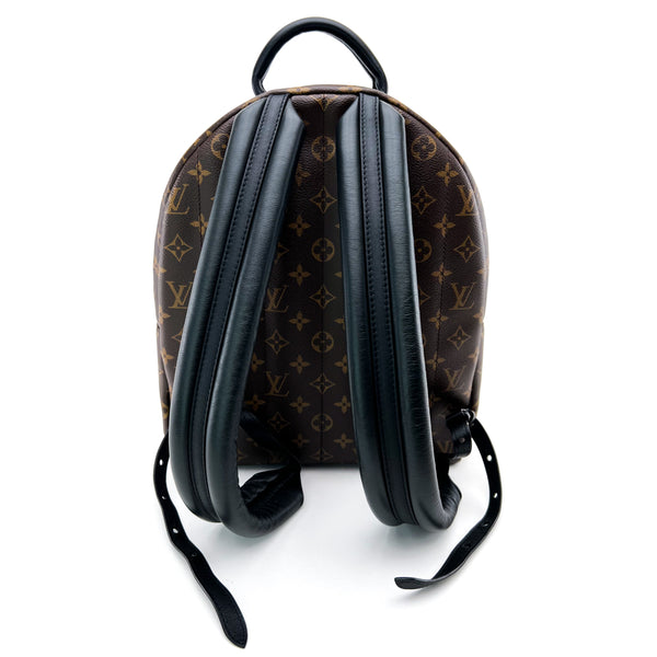 Louis Vuitton M44874 Palm Springs MM Backpack