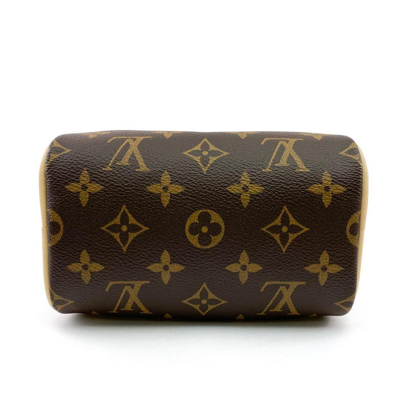 Louis Vuitton Brown Monogram Nano Speedy Bag