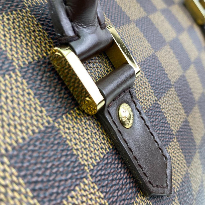 LV Damier Ebene Canvas Ribera MM Bag