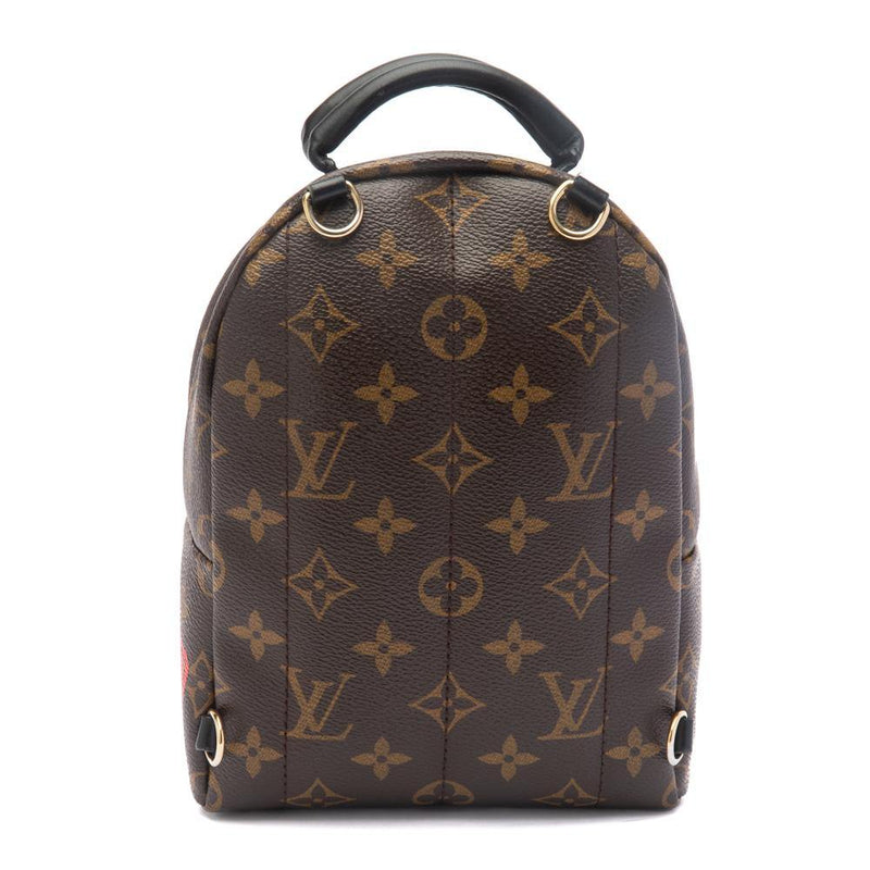 Louis Vuitton Monogram Palm Springs Mini My LV World Tour Backpack Louis Vuitton Monogram Palm Springs Mini My LV World Tour Backpack