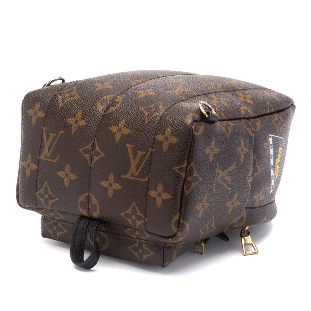 Louis Vuitton Monogram My World Tour Palm Springs Mochila Mini Multicolor  Lienzo ref.623615 - Joli Closet